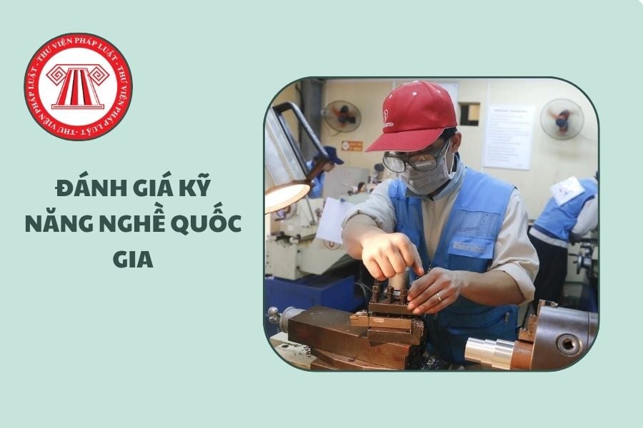 Hỏi đáp Pháp luật
