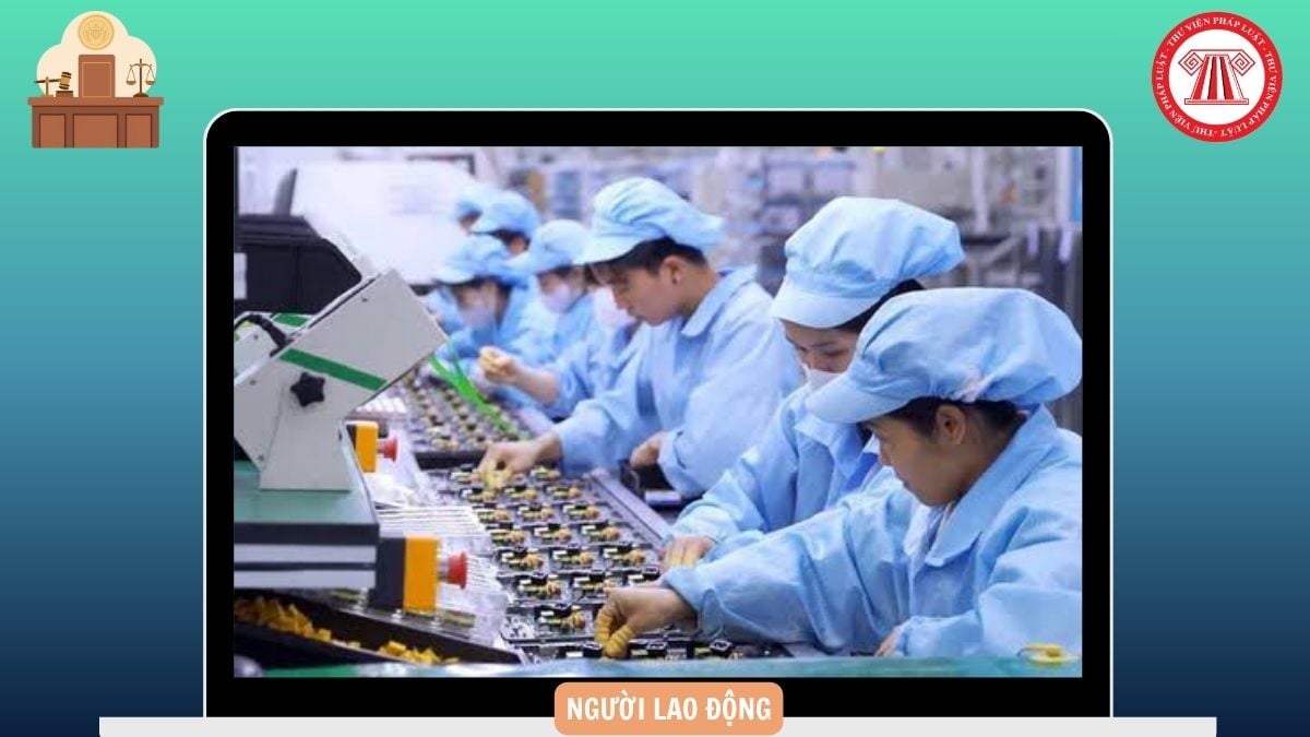 Hỏi đáp Pháp luật