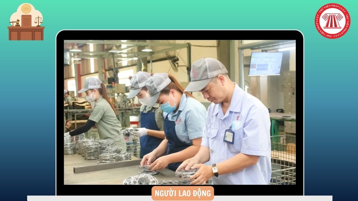 Hỏi đáp Pháp luật