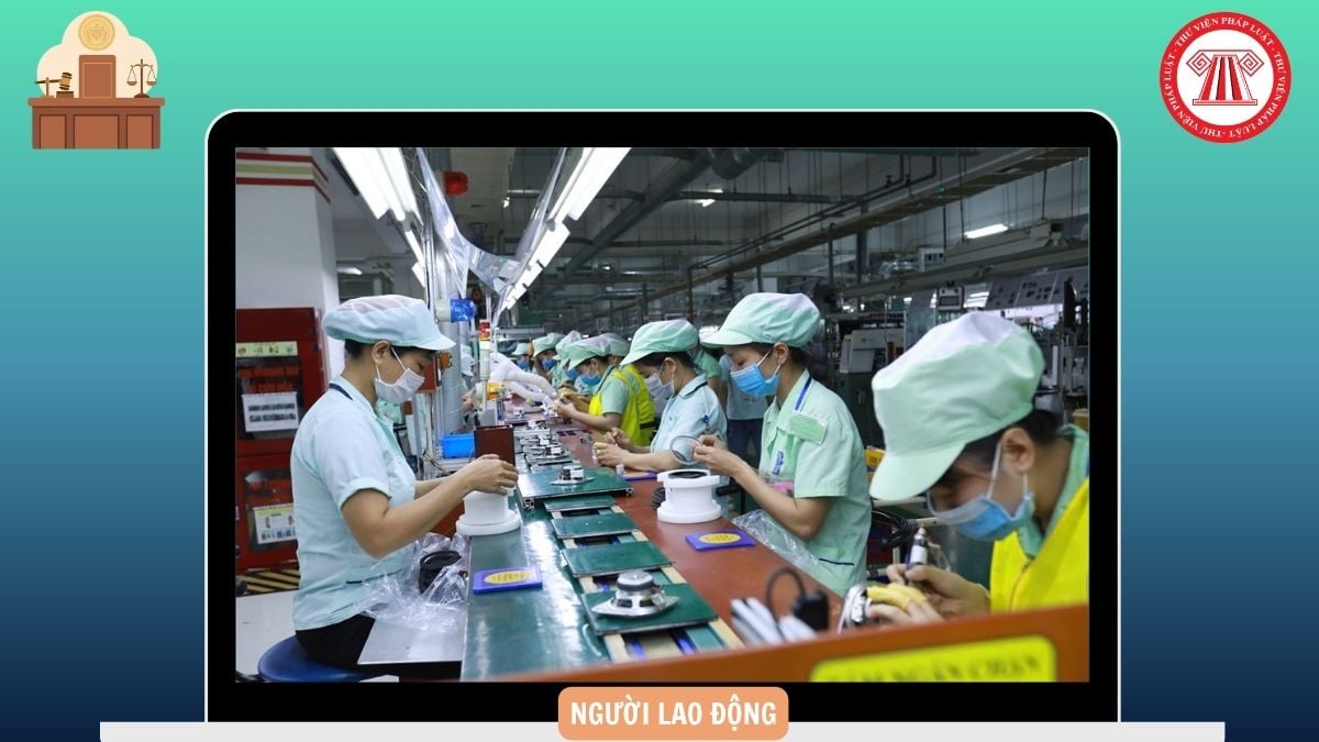 Hỏi đáp Pháp luật
