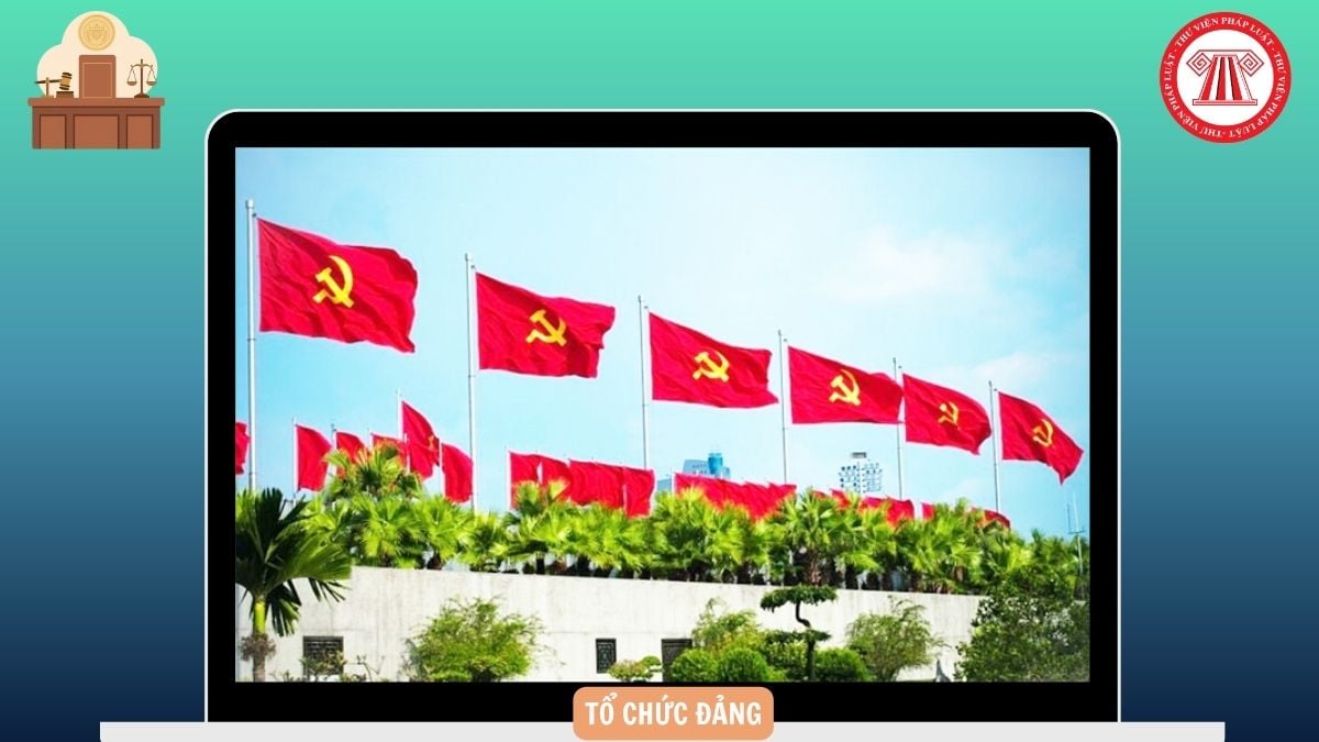 Hỏi đáp Pháp luật