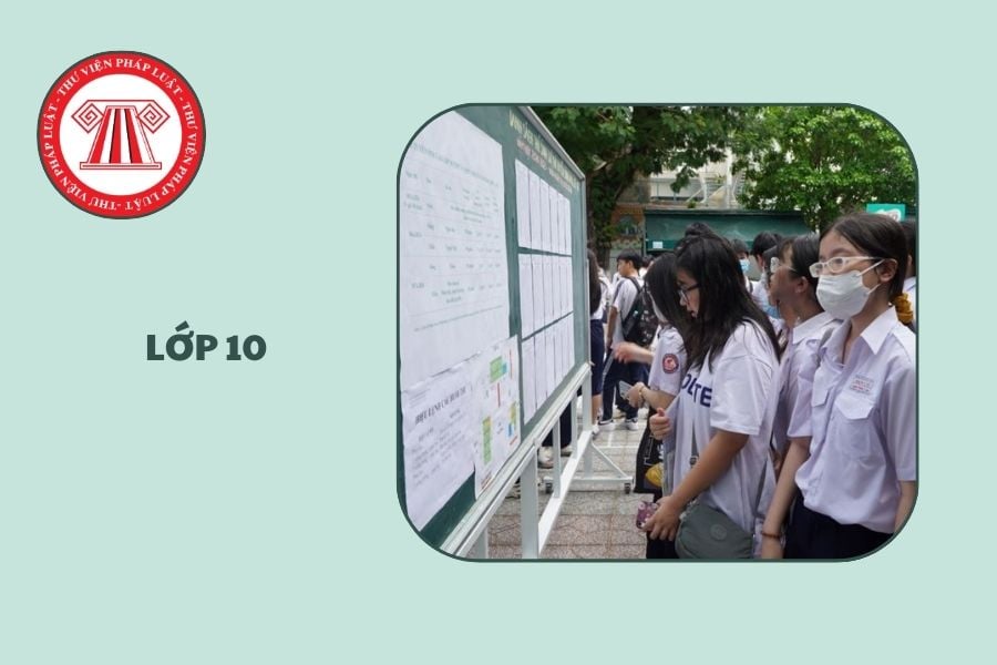 Hỏi đáp Pháp luật