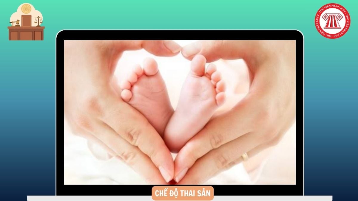 Hỏi đáp Pháp luật