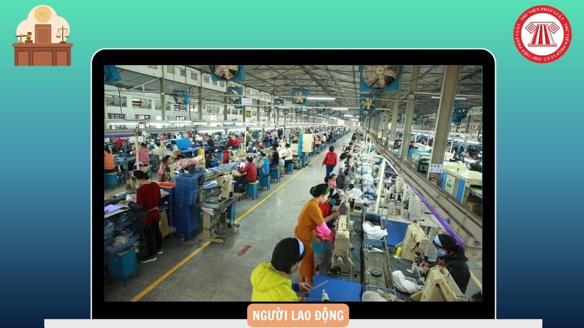 Hỏi đáp Pháp luật