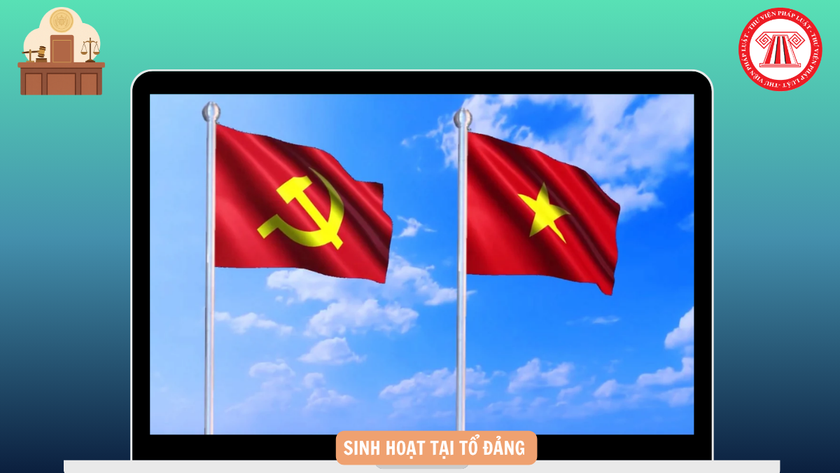 Hỏi đáp Pháp luật