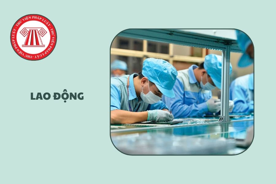 Hỏi đáp Pháp luật