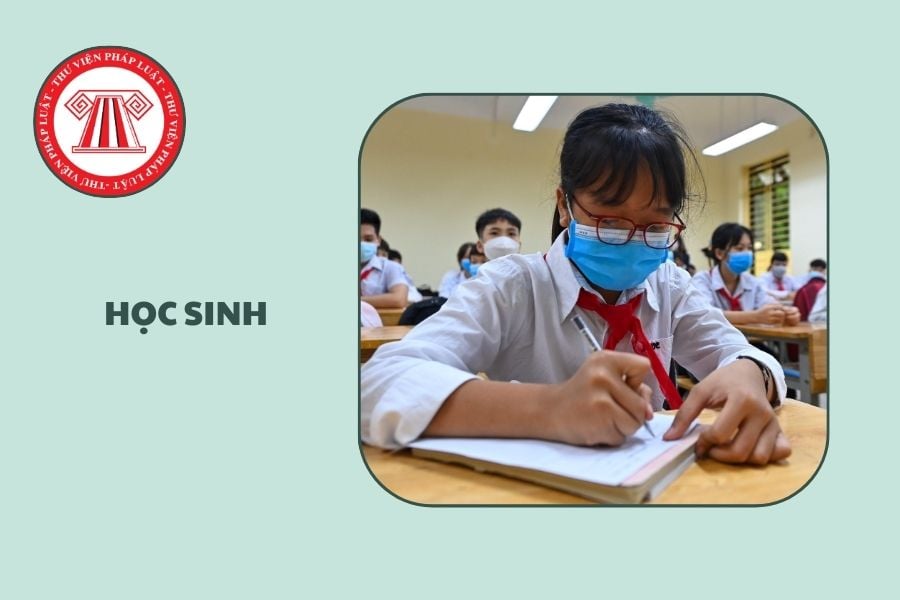 Hỏi đáp Pháp luật