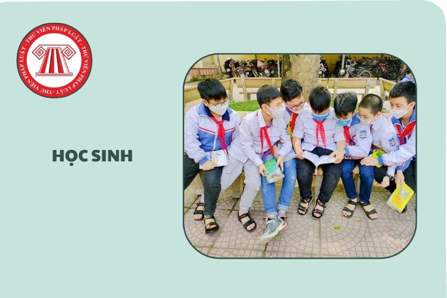 Hỏi đáp Pháp luật
