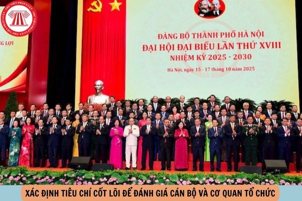 Hỏi đáp Pháp luật