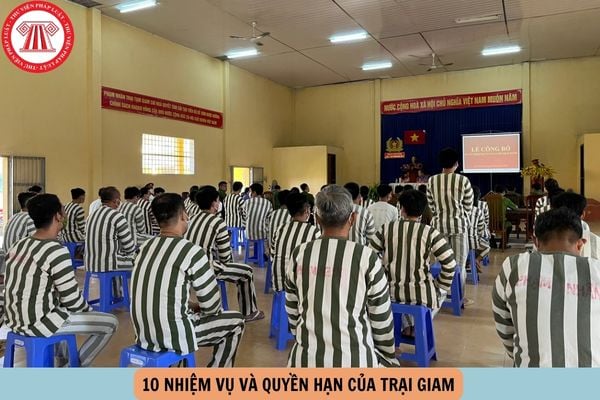 Hỏi đáp Pháp luật