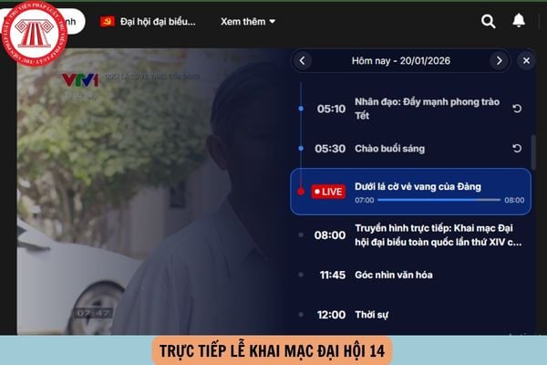 Hỏi đáp Pháp luật