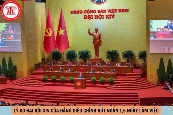 Hỏi đáp Pháp luật