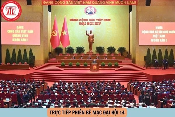 Hỏi đáp Pháp luật