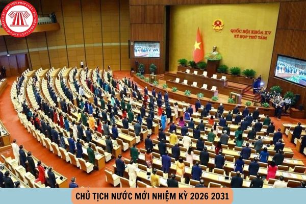 chủ tịch nước mới