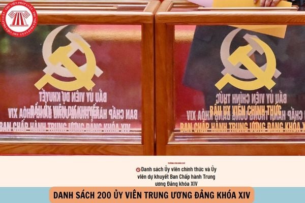 Hỏi đáp Pháp luật