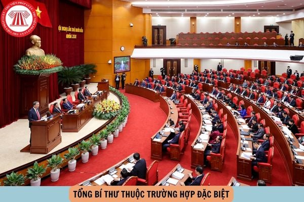Hỏi đáp Pháp luật