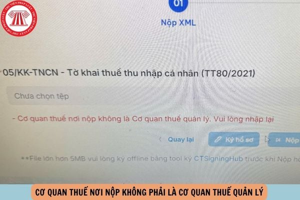 Hỏi đáp Pháp luật