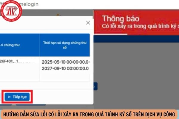 Hỏi đáp Pháp luật