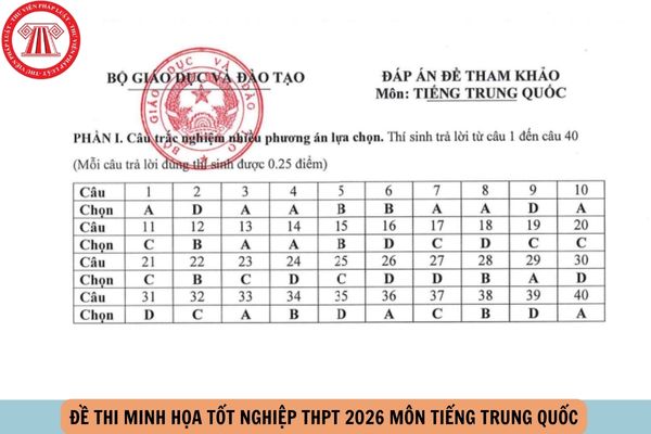 Hỏi đáp Pháp luật