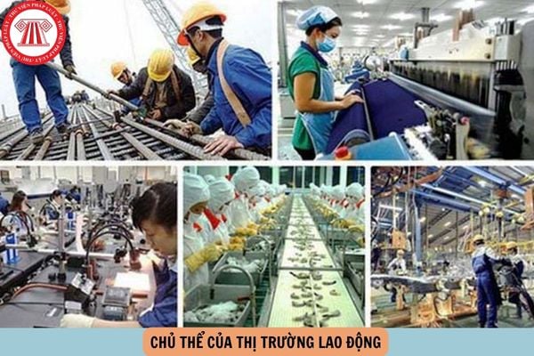 chủ thể của thị trường lao động