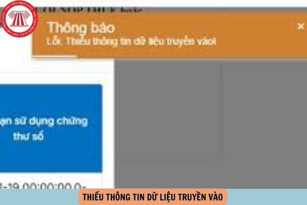 Hỏi đáp Pháp luật