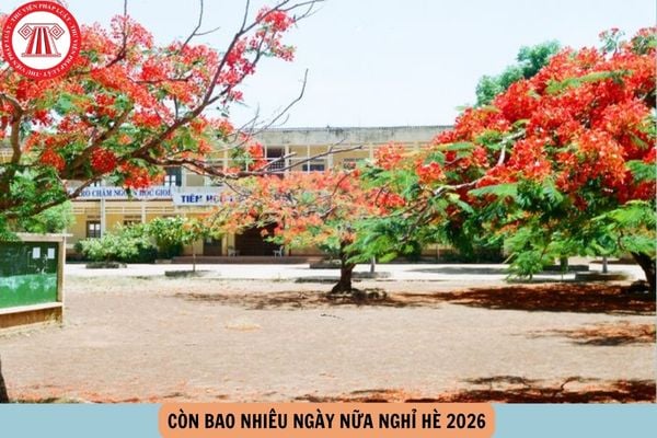 Hỏi đáp Pháp luật