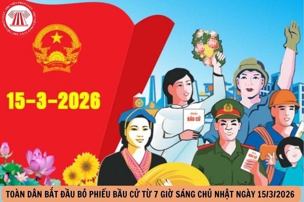 Hỏi đáp Pháp luật