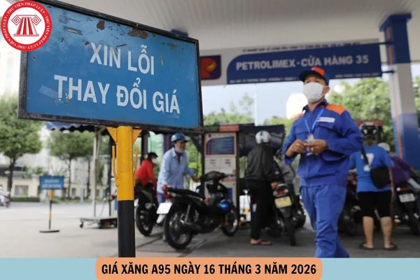 Hỏi đáp Pháp luật