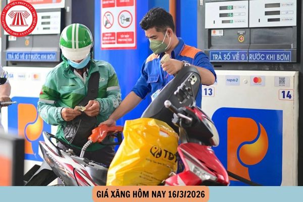 Hỏi đáp Pháp luật