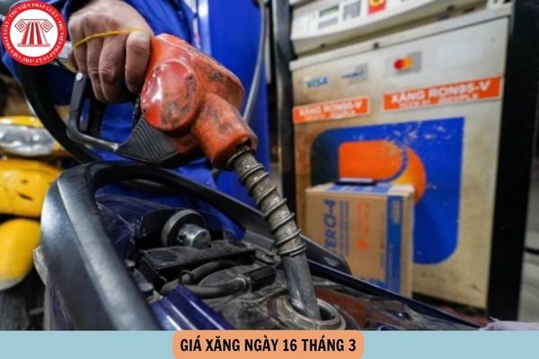 Hỏi đáp Pháp luật