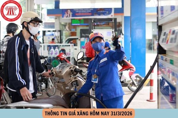 Hỏi đáp Pháp luật