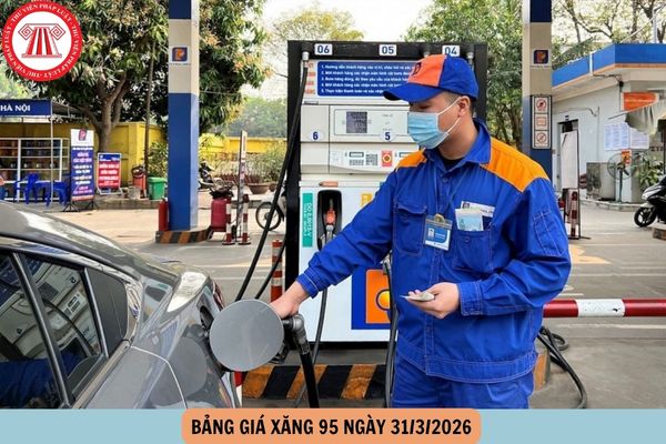 Hỏi đáp Pháp luật
