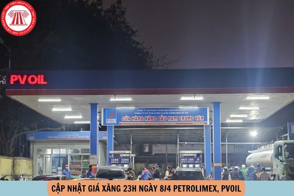 Hỏi đáp Pháp luật