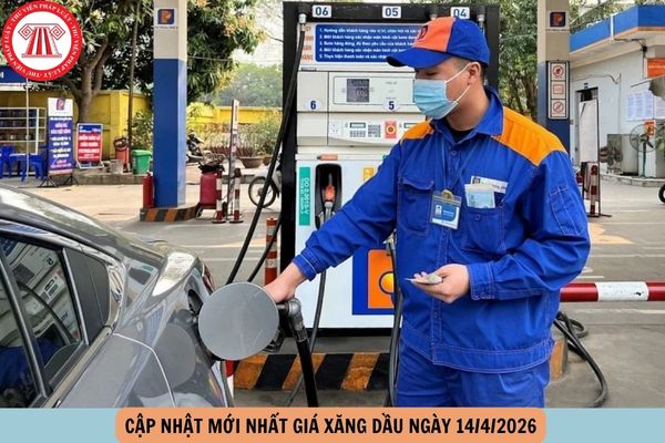 Hỏi đáp Pháp luật