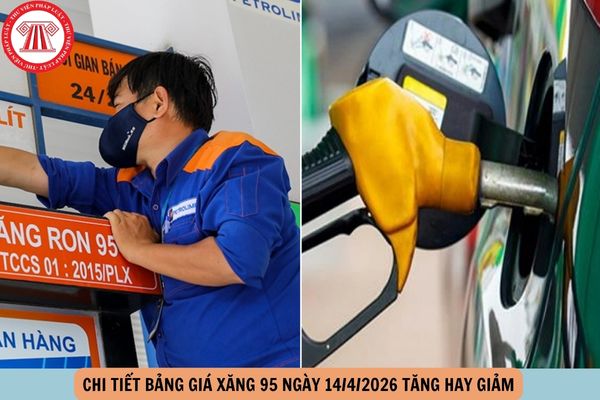 Hỏi đáp Pháp luật
