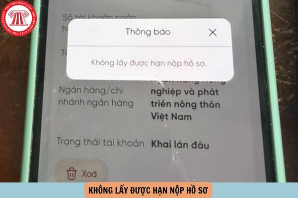 Hỏi đáp Pháp luật