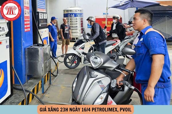 Hỏi đáp Pháp luật