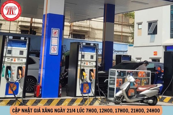 Hỏi đáp Pháp luật