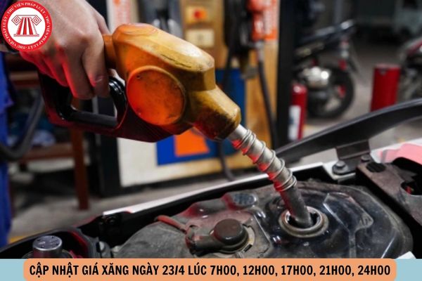 Hỏi đáp Pháp luật