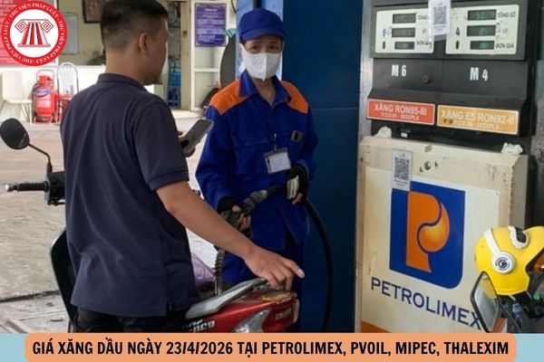 Hỏi đáp Pháp luật