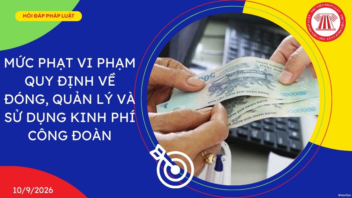 Hỏi đáp Pháp luật