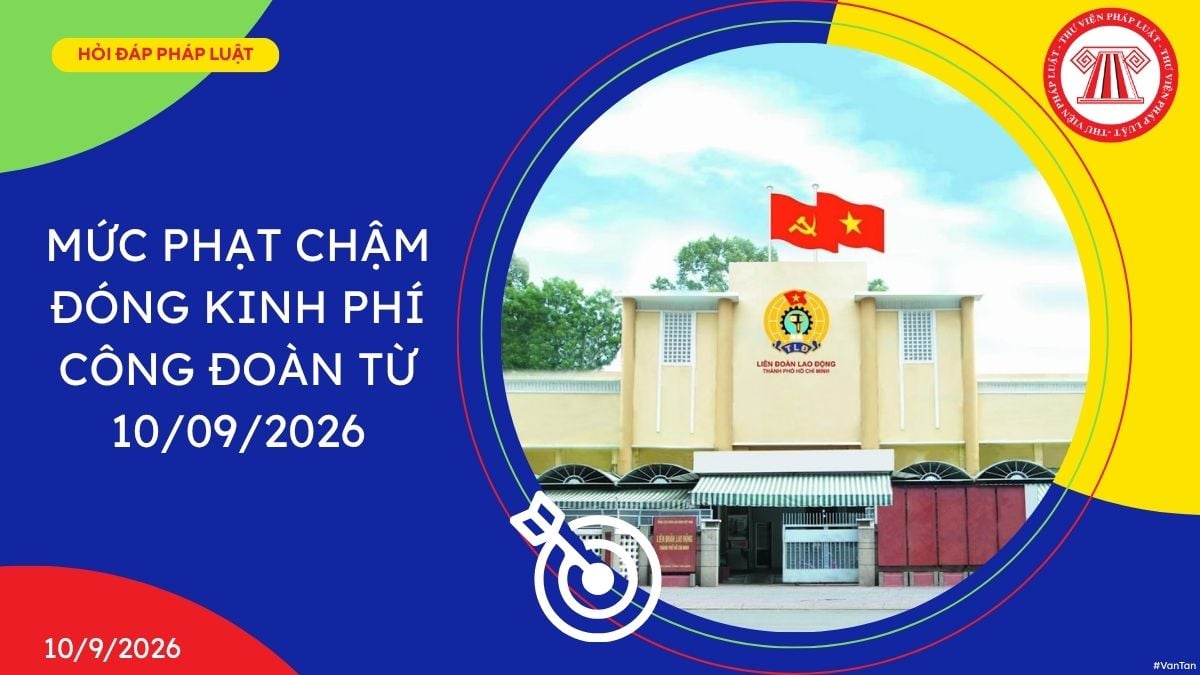 Hỏi đáp Pháp luật