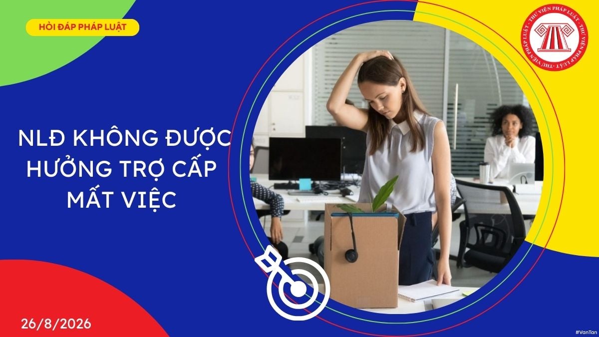 Hỏi đáp Pháp luật