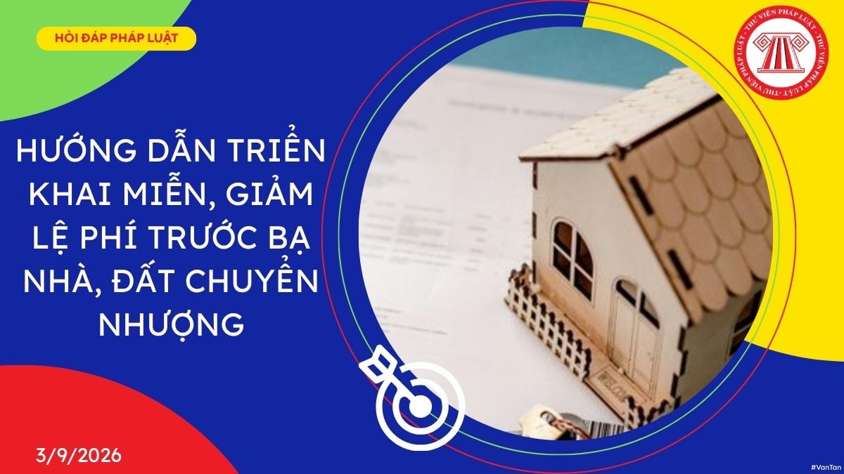Hỏi đáp Pháp luật