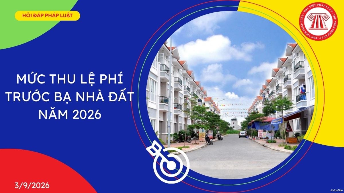 Hỏi đáp Pháp luật