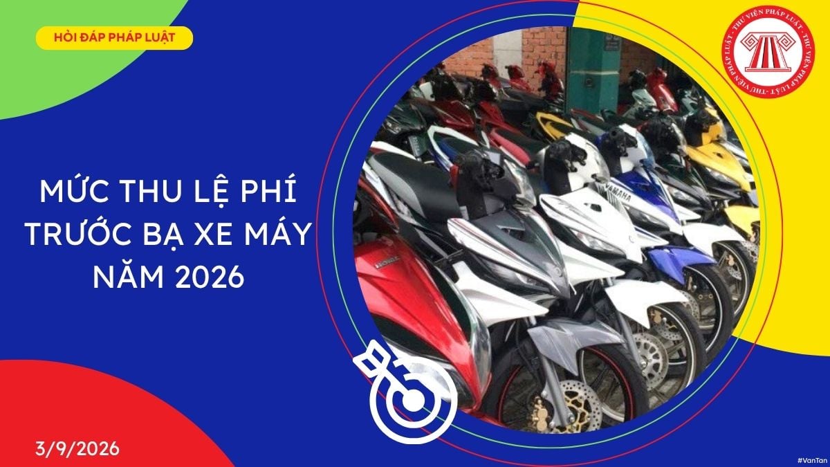 Hỏi đáp Pháp luật