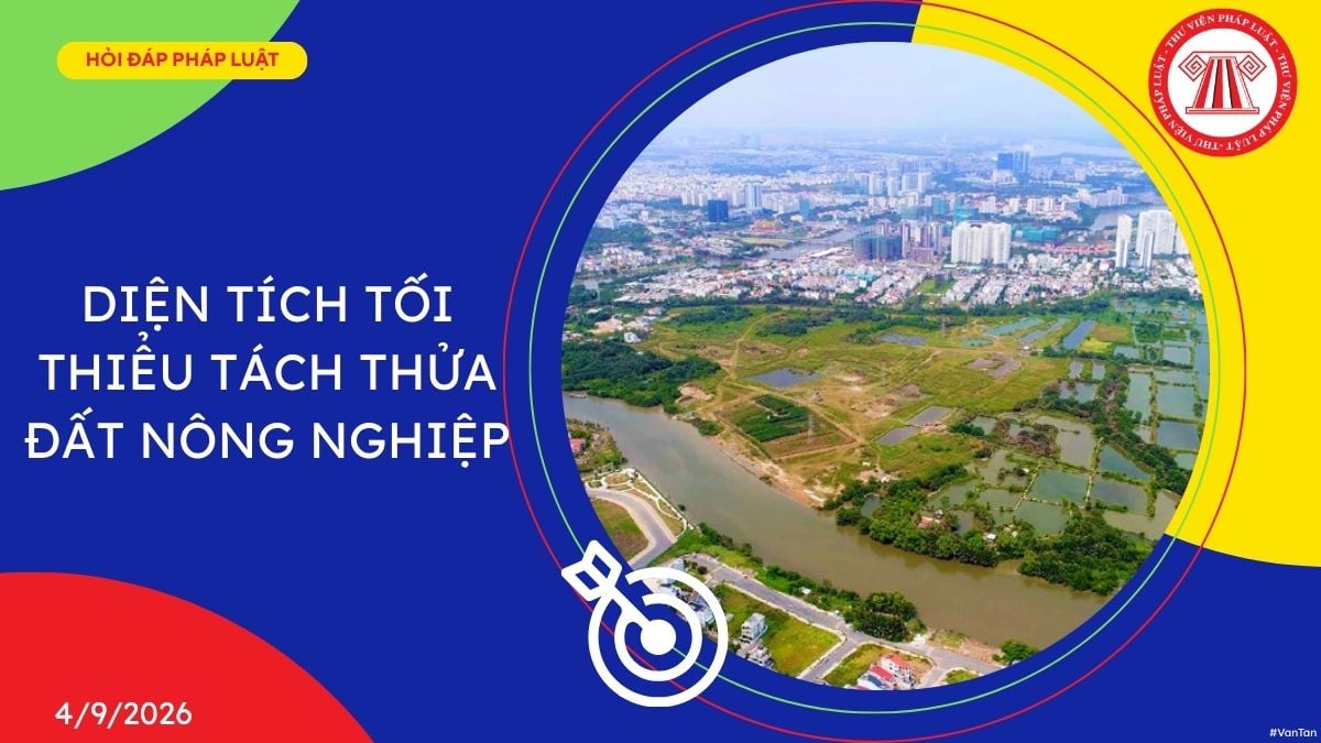 Hỏi đáp Pháp luật