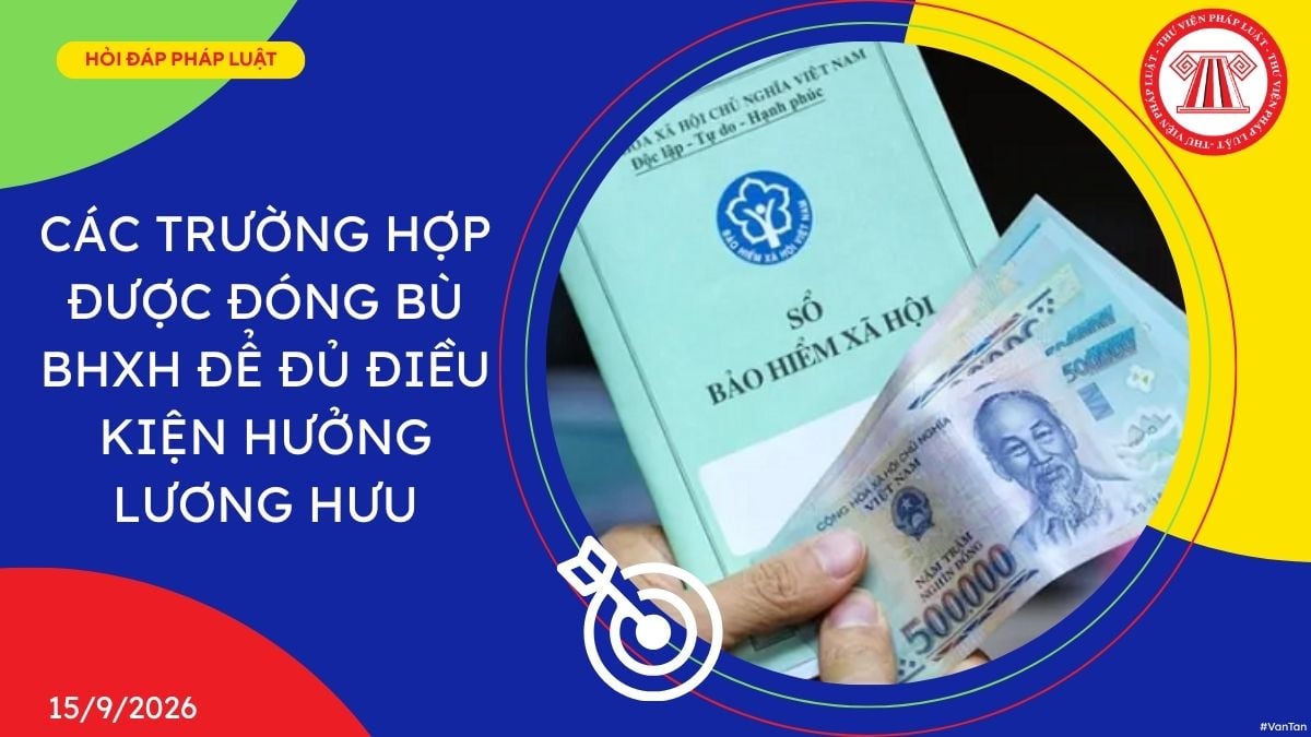 Hỏi đáp Pháp luật