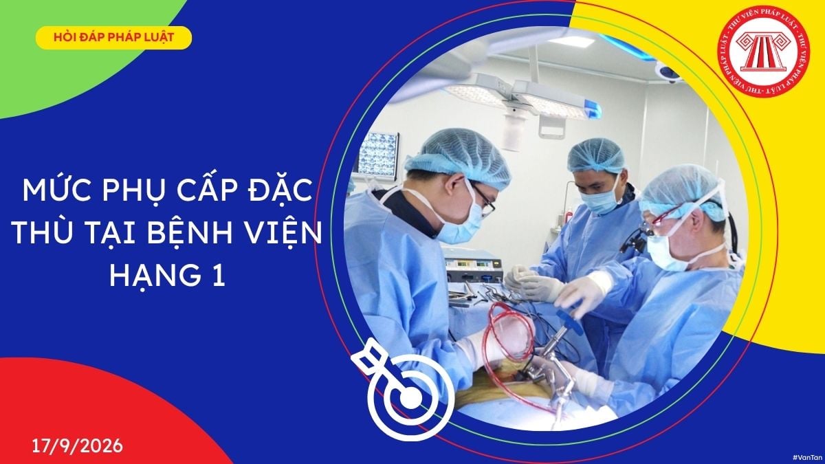 Hỏi đáp Pháp luật