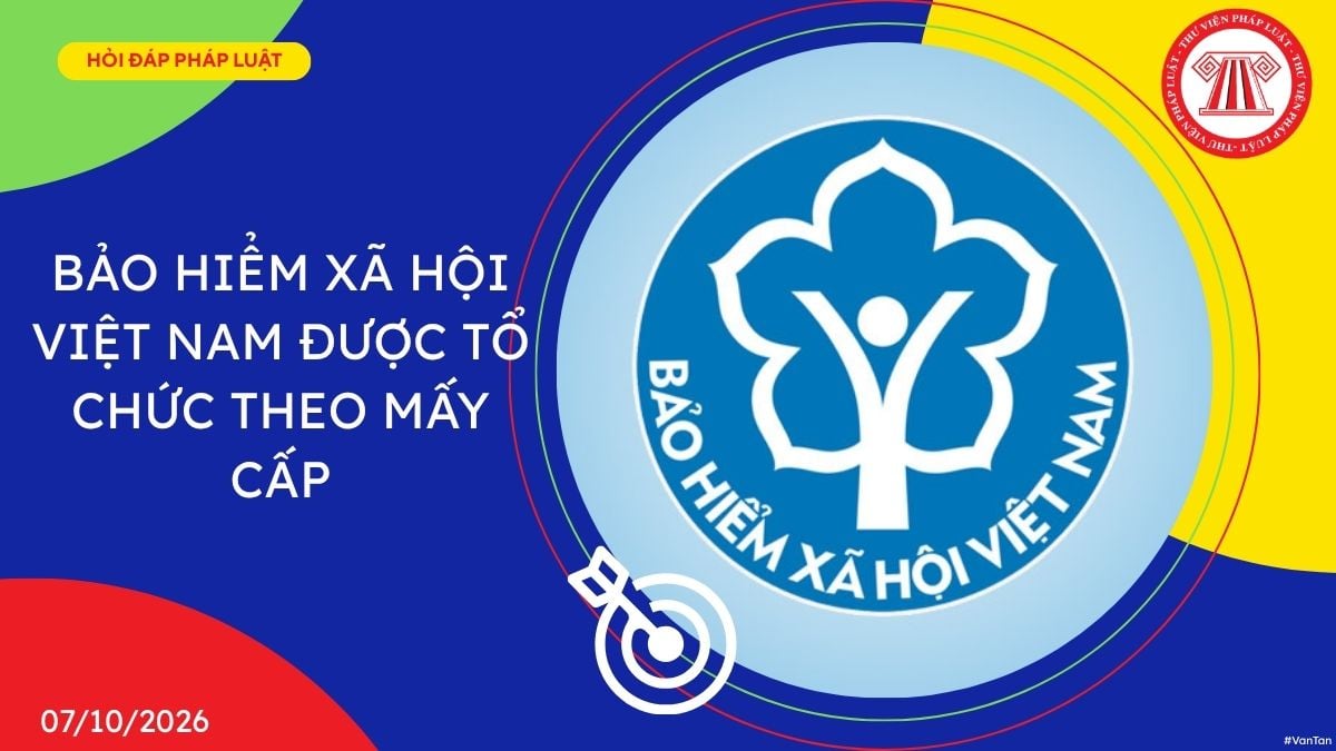 Hỏi đáp Pháp luật